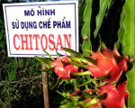 KEM THẢO MỘC TRỊ BỆNH VIÊM DA TIẾT BÃ NHỜN - KEM THẢO MỘC TRỊ BỆNH VIÊM DA TIẾT BÃ NHỜN